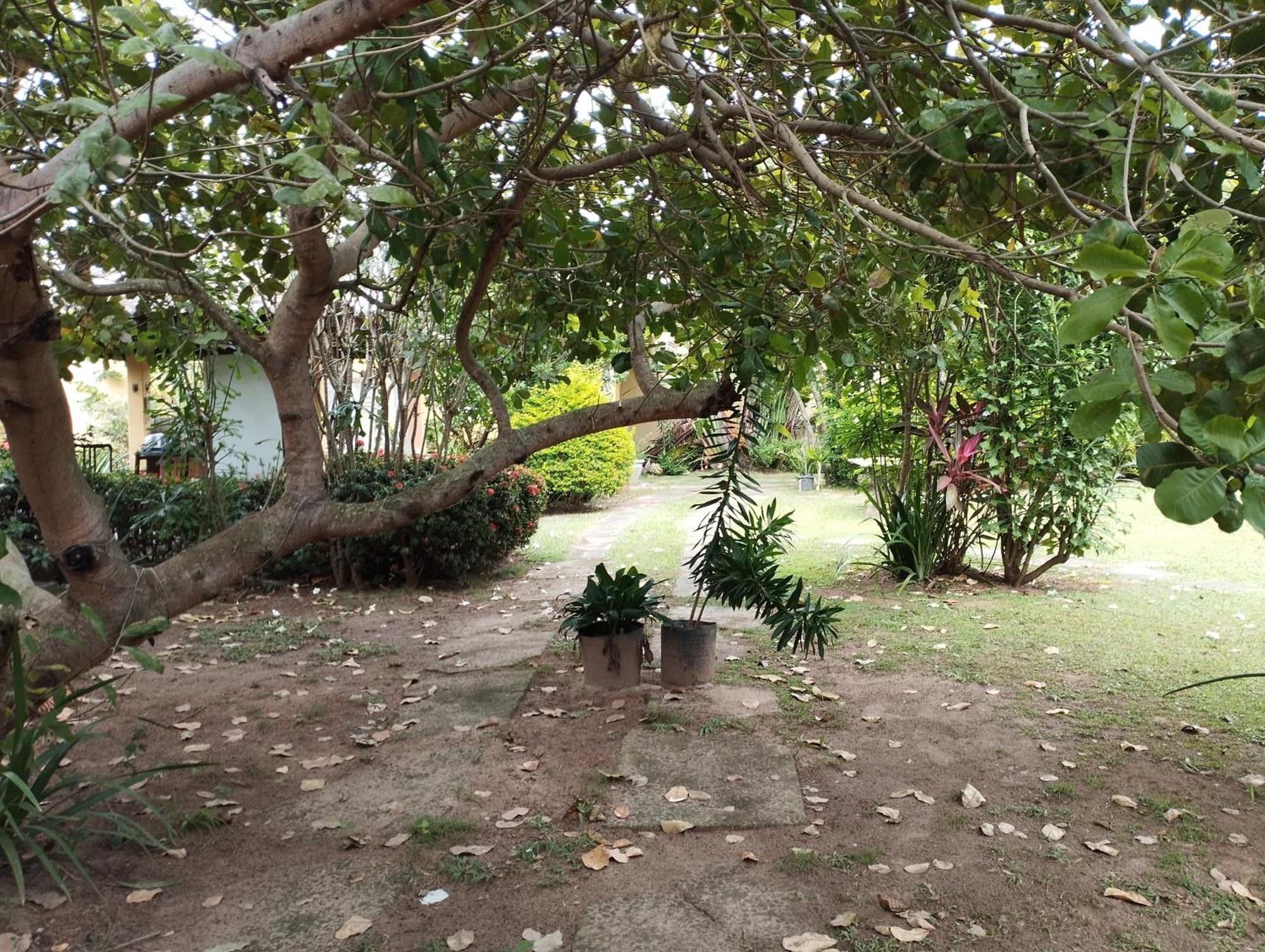 Lumiar Garden Suites E Chales Em Vilas Do Atlantico Lauro de Freitas Bagian luar foto