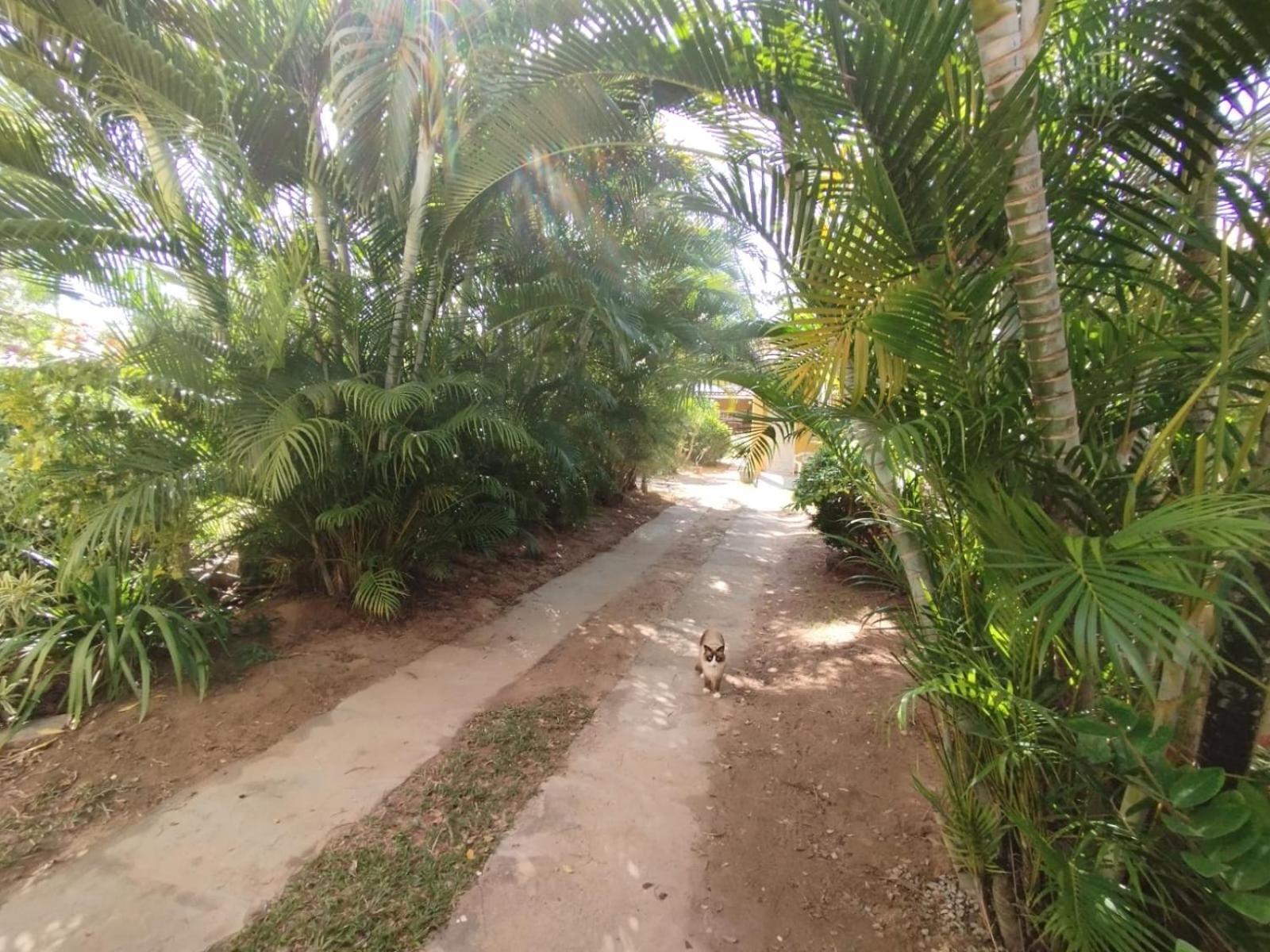 Lumiar Garden Suites E Chales Em Vilas Do Atlantico Lauro de Freitas Bagian luar foto