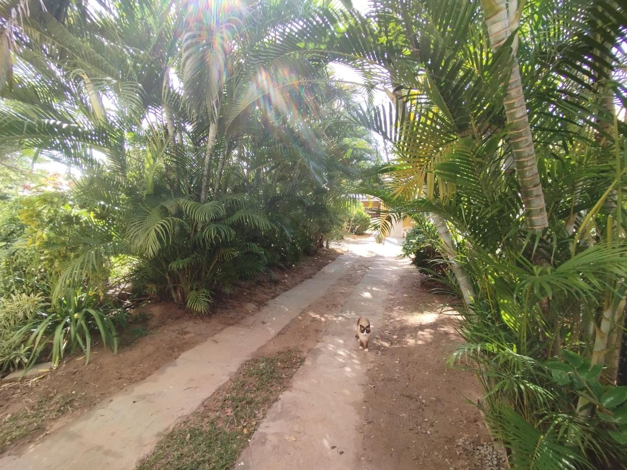 Lumiar Garden Suites E Chales Em Vilas Do Atlantico Lauro de Freitas Bagian luar foto
